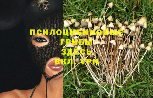 круглые Армянск