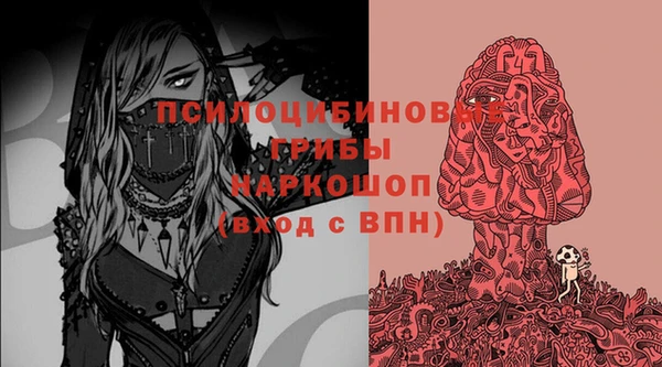 ПСИЛОЦИБИНОВЫЕ ГРИБЫ Арсеньев