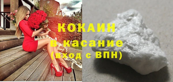 ПСИЛОЦИБИНОВЫЕ ГРИБЫ Арсеньев