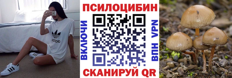 купить закладку  Игарка  Галлюциногенные грибы Cubensis 